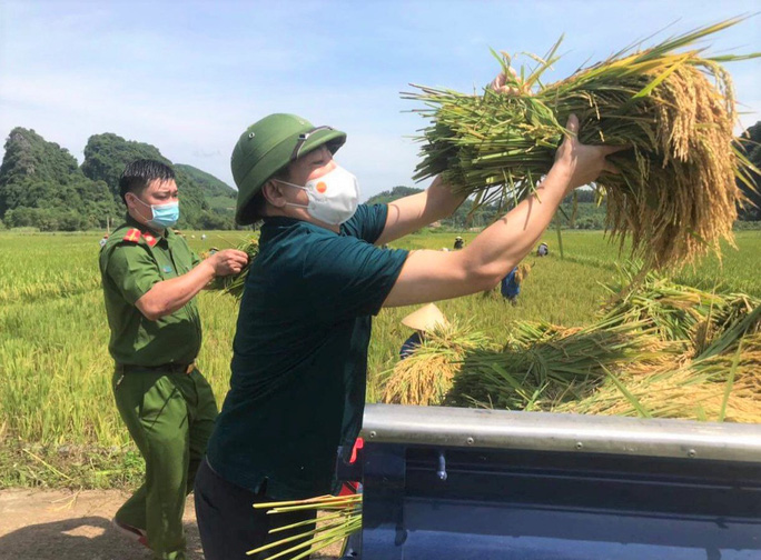 Description: Bí thư huyện ở Thanh Hóa xuống đồng giúp dân gặt lúa chạy bão số 5 - Ảnh 6.