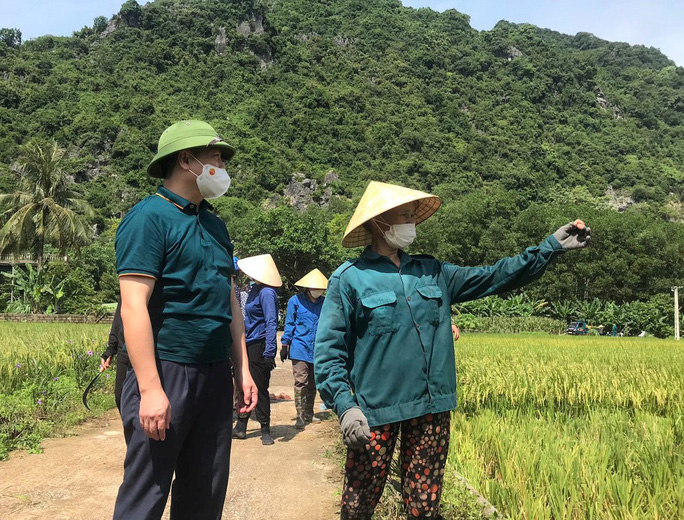 Description: Bí thư huyện ở Thanh Hóa xuống đồng giúp dân gặt lúa chạy bão số 5 - Ảnh 4.